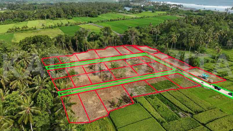 dijual tanah desa beraban