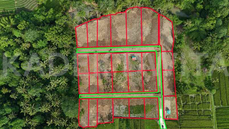 dijual tanah desa beraban