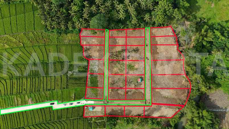 dijual tanah desa beraban