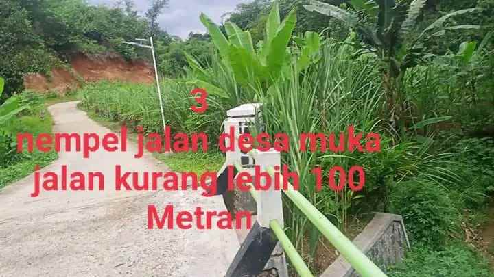 dijual tanah desa koleang kec jasinga