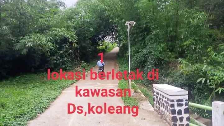 dijual tanah desa koleang kec jasinga