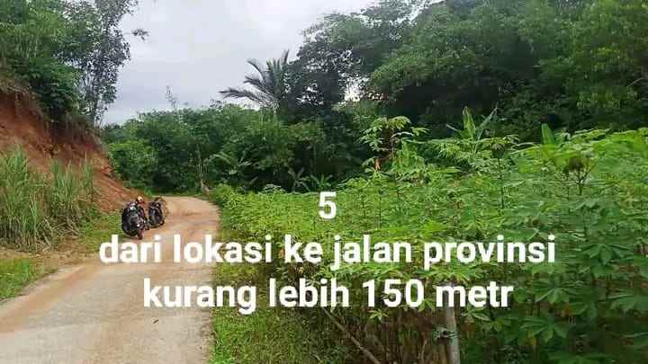 dijual tanah desa koleang kec jasinga