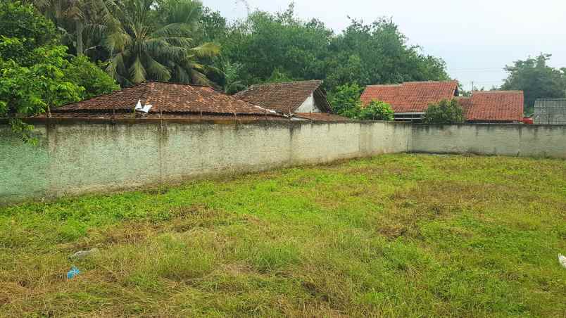 dijual tanah desa kubang sukamulya kab