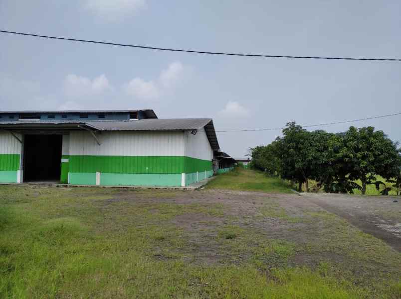 dijual tanah desa majasuka kecamatan