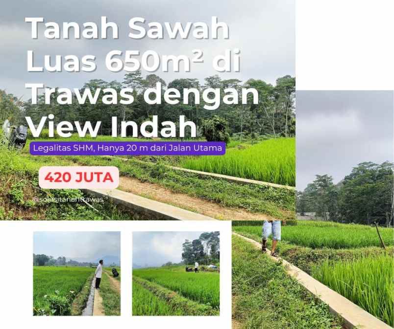 dijual tanah desa peanggungan trawas