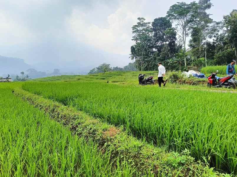 dijual tanah desa peanggungan trawas