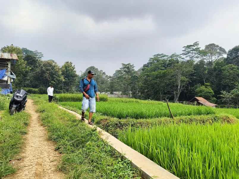 dijual tanah desa peanggungan trawas