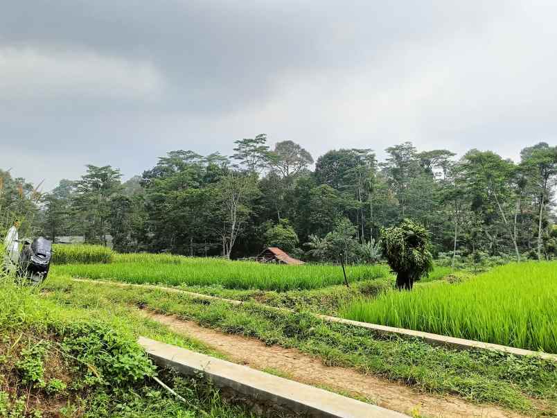 dijual tanah desa penanggungan trawas