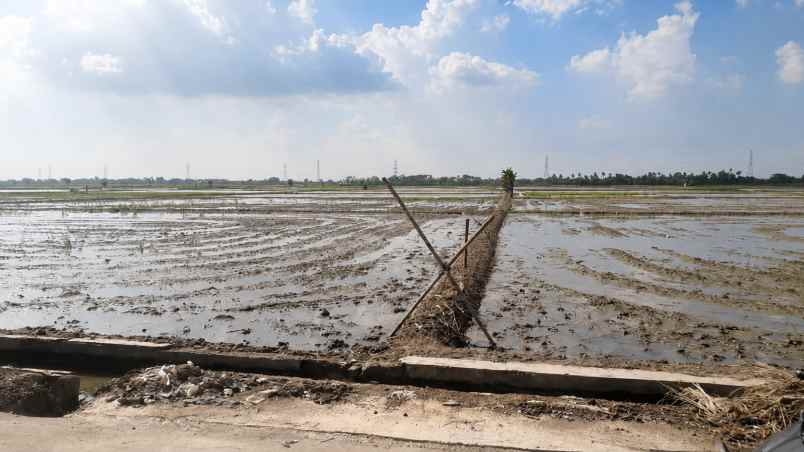 dijual tanah desa suka asih