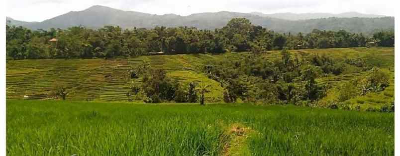 dijual tanah di jalan raya nagreg bandung