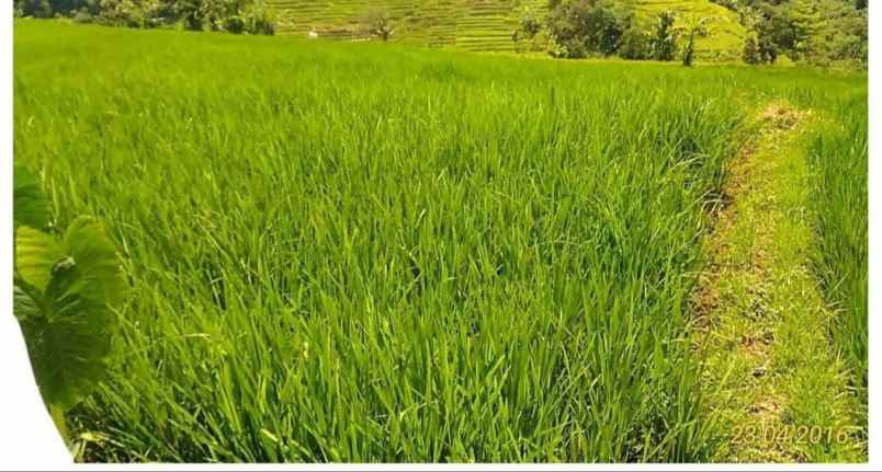 dijual tanah di jalan raya nagreg bandung