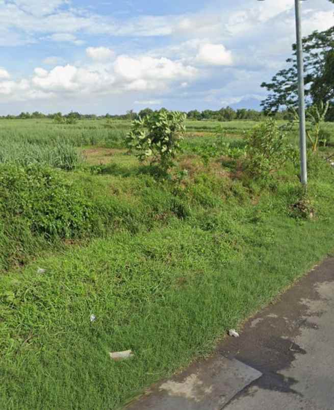 dijual tanah di jetis mojokerto
