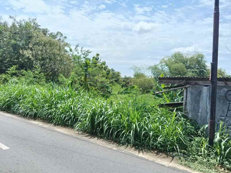 dijual tanah dijual tanah di kaliboto