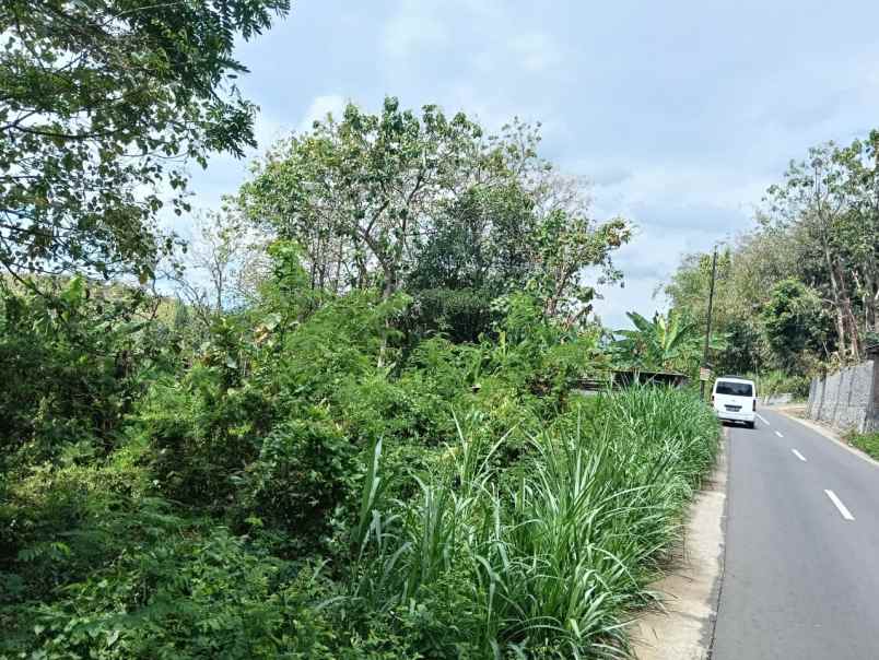 dijual tanah dijual tanah di kaliboto