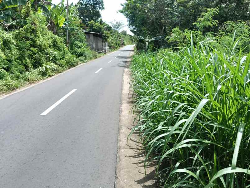 dijual tanah dijual tanah di kaliboto