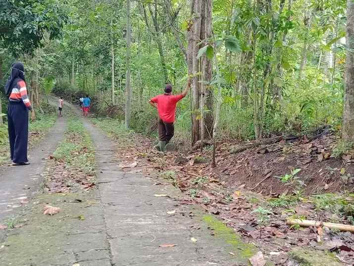 dijual tanah donomulyo nanggulan kulonprogo