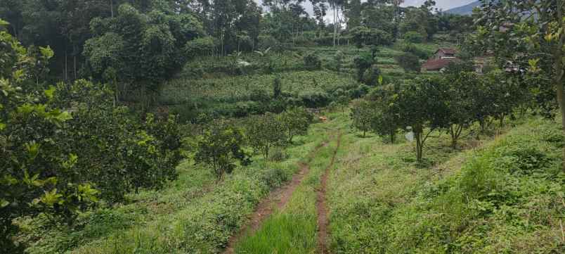 dijual tanah donowarih