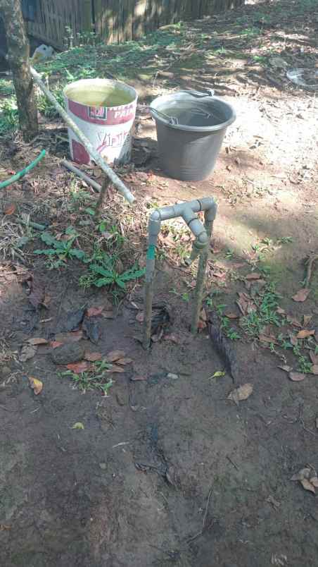 dijual tanah ds angkah kec selemadeg