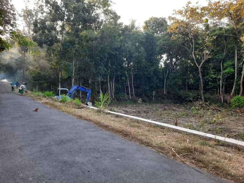 dijual tanah gamping sleman yogyakarta