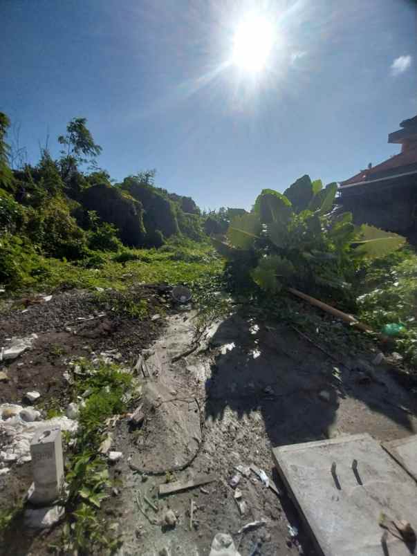 dijual tanah jalan berawa canggu kuta