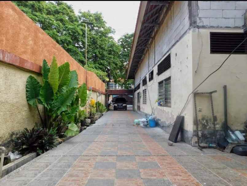 dijual tanah jalan cokroaminoto ubung