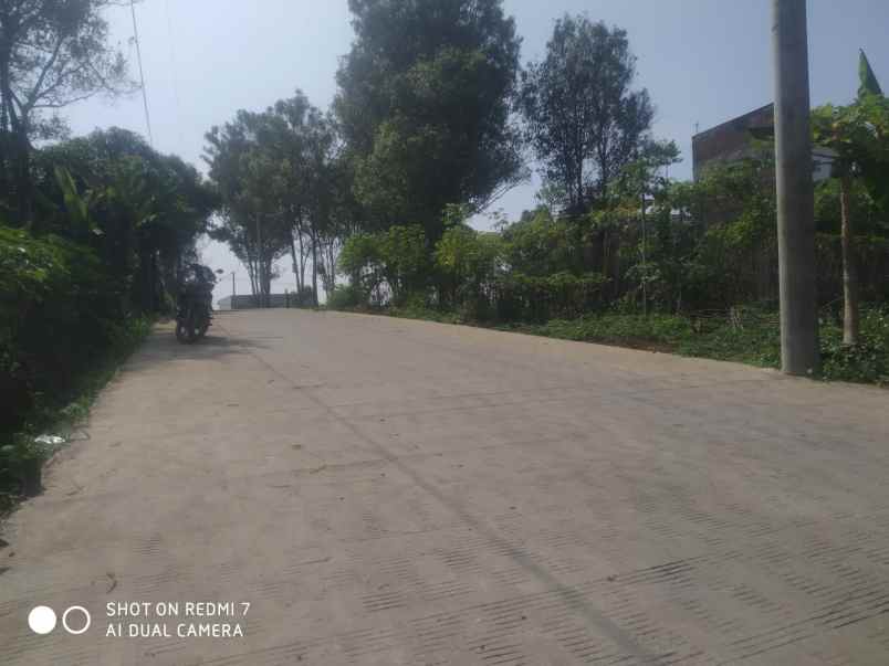 dijual tanah jalan kavling cengkeh