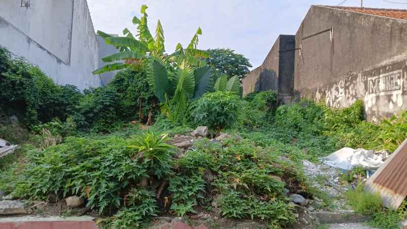 dijual tanah jalan mataram