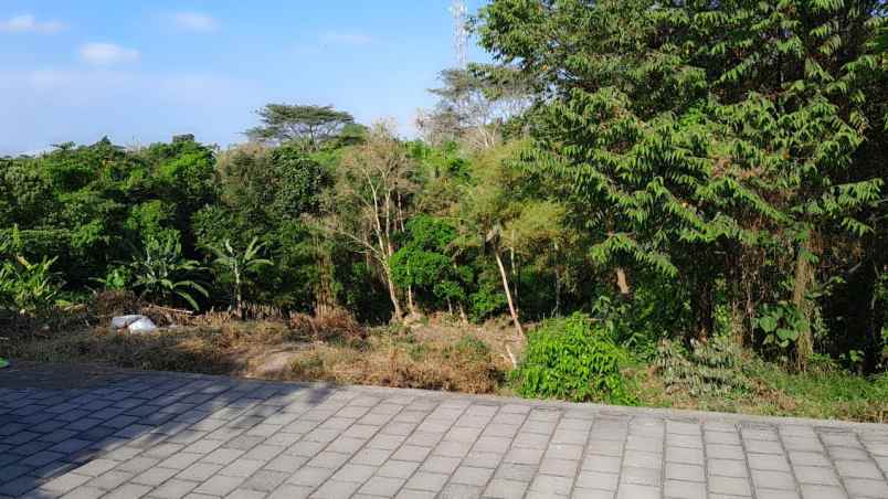 dijual tanah jalan pantai nyanyi