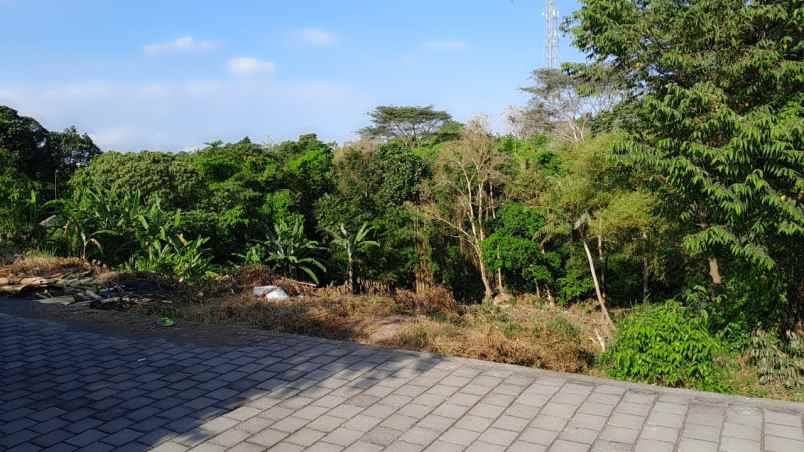 dijual tanah jalan pantai nyanyi