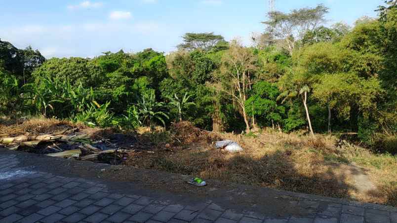 dijual tanah jalan pantai nyanyi