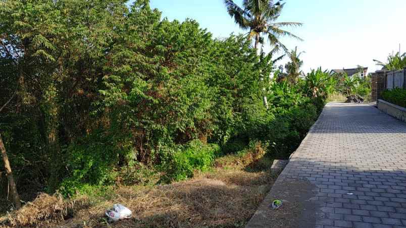 dijual tanah jalan pantai nyanyi