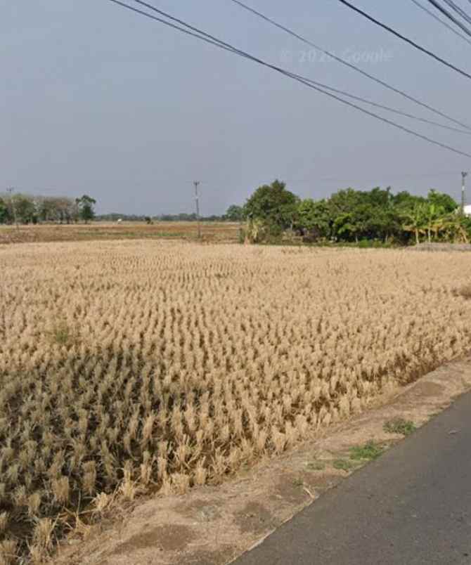 dijual tanah jalan pu desa rancahan