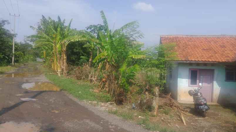 dijual tanah jalan rancakandong