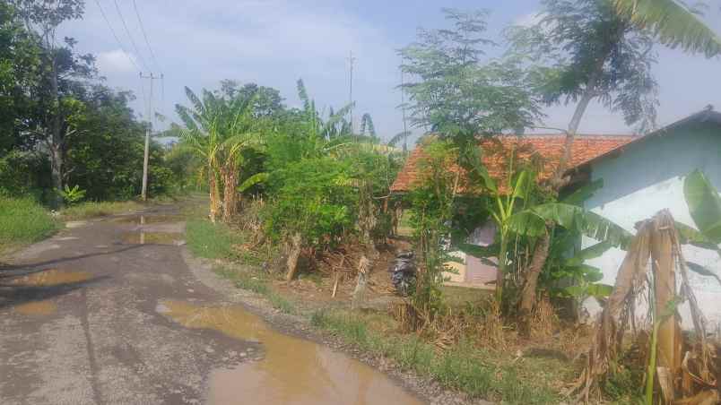 dijual tanah jalan rancakandong