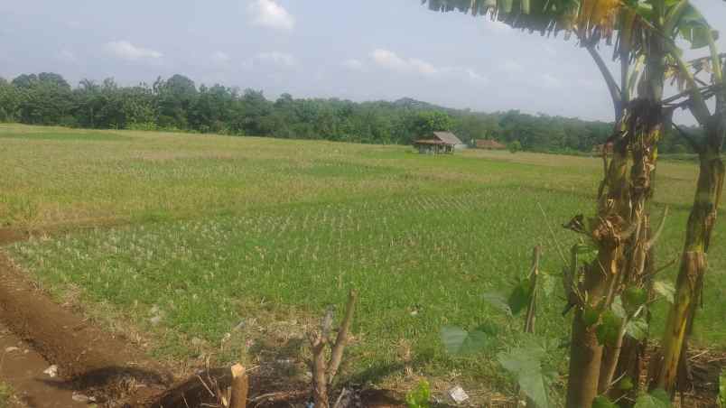 dijual tanah jalan rancakandong