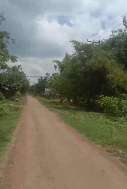 dijual tanah jalan rawa bolang