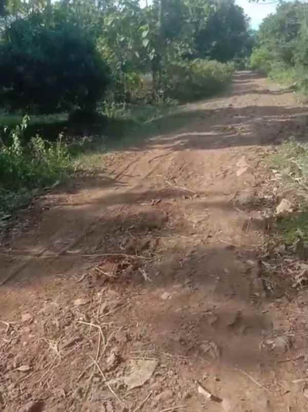 dijual tanah jalan rawa bolang