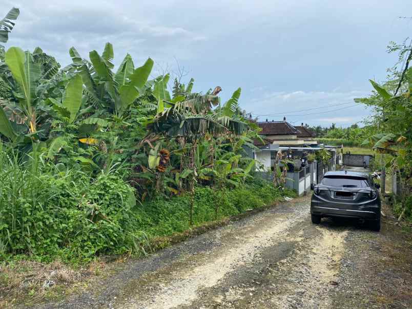 dijual tanah jalan raya munggu