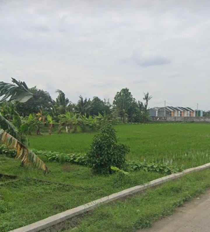 dijual tanah jalan selong jati