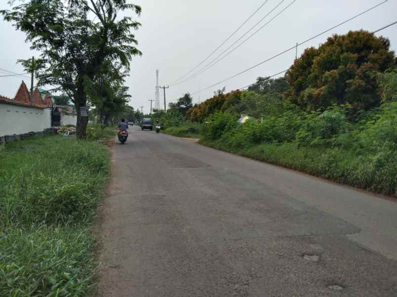 dijual tanah jalan syeh quro telagasari