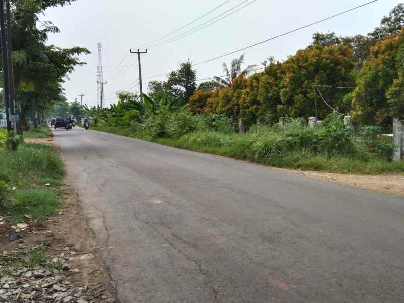 dijual tanah jalan syeh quro telagasari