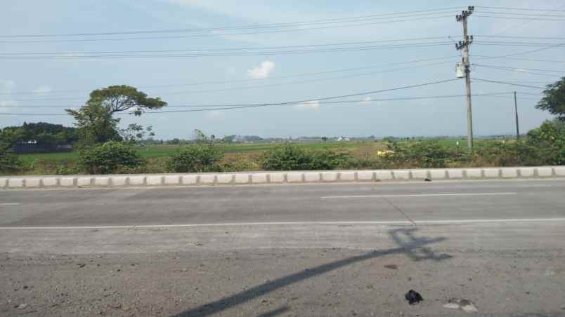 dijual tanah jallan pantura pemalang