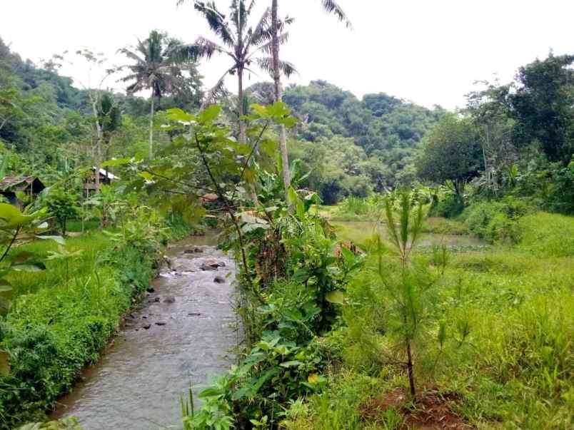 dijual tanah jl alternatif sagalaherang