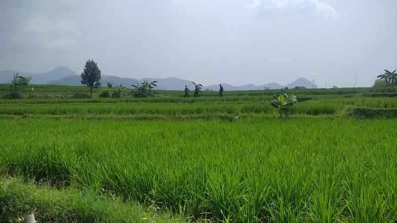 dijual tanah jl ciseah 64 kopo kec