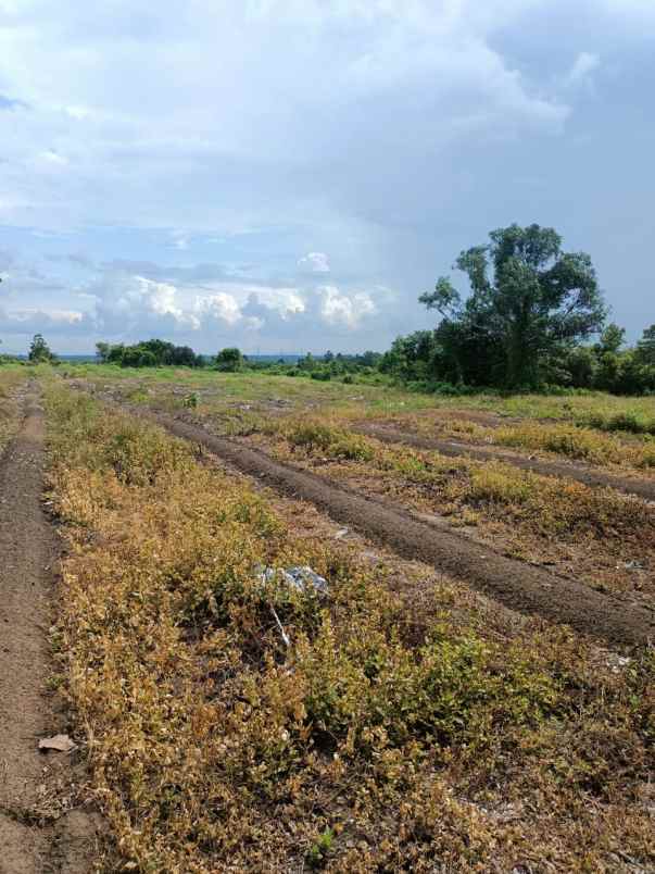 dijual tanah jl hakim