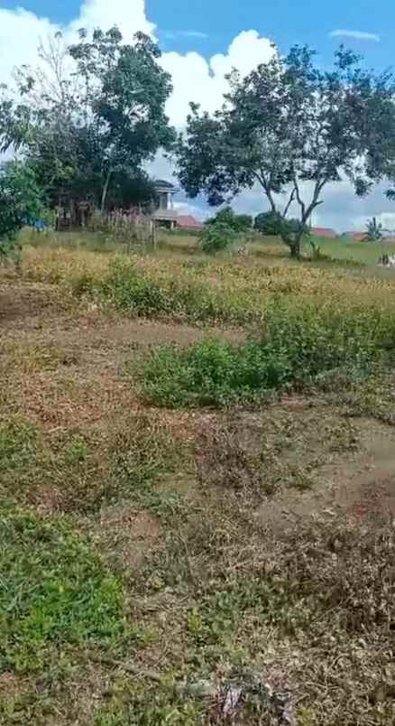 dijual tanah jl hakim