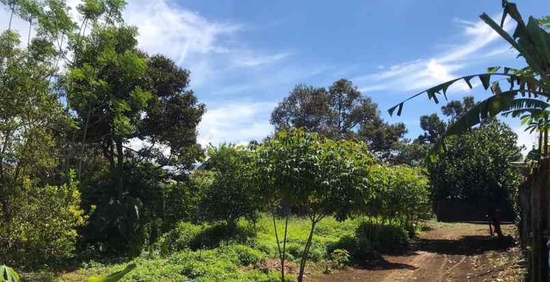 dijual tanah jl kenanga kebon hui margajaya