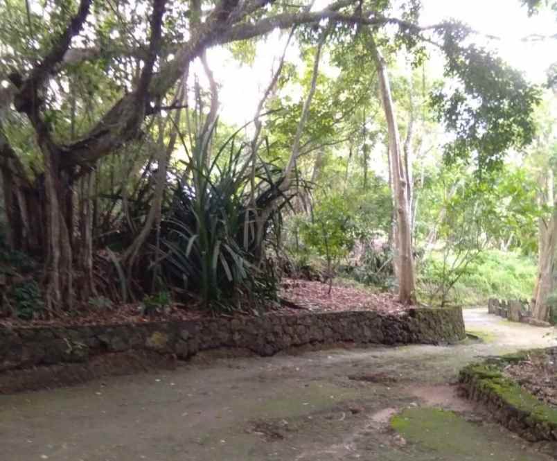 dijual tanah jl pura batu pageh