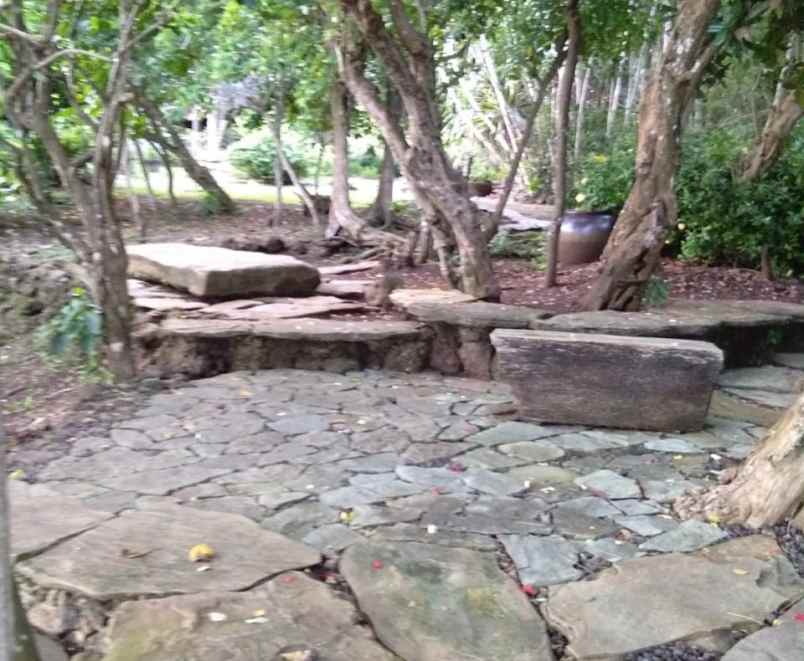 dijual tanah jl pura batu pageh