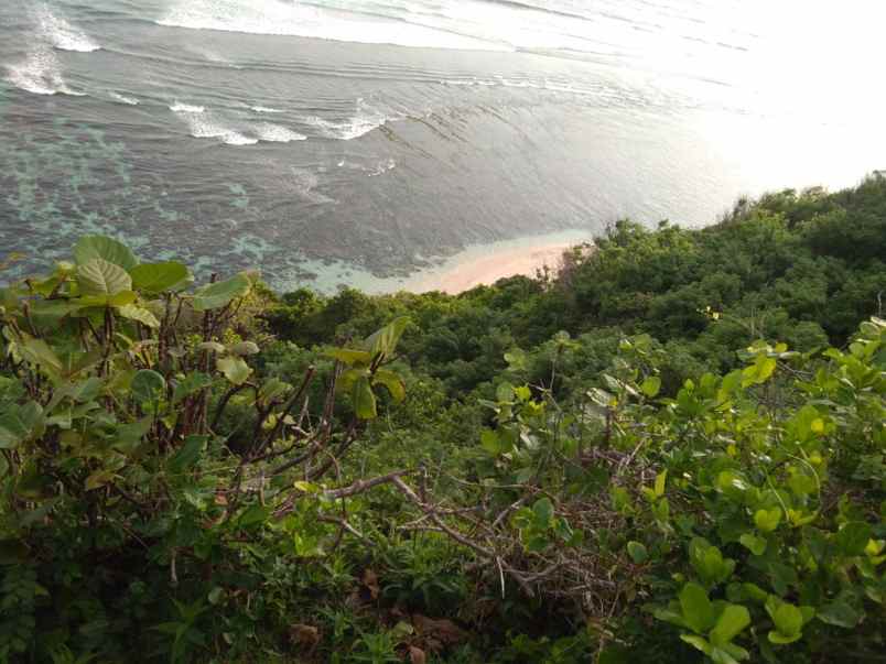 dijual tanah jl pura batu pageh